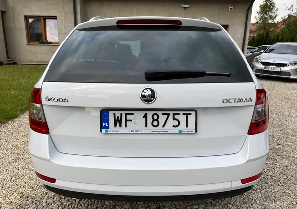 Skoda Octavia cena 65900 przebieg: 159000, rok produkcji 2019 z Sulechów małe 154